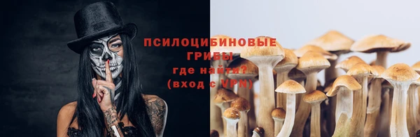 спайс Краснослободск